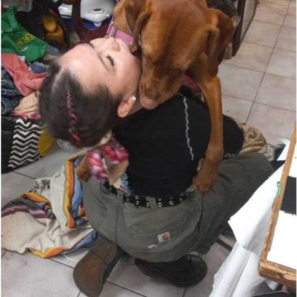 DISCLAIMER FOR LIVE SHOWS - Picture 1 of 1